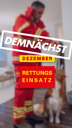 Teaserbild von den bevorstehenden Ereignissen von René bei der DLRG