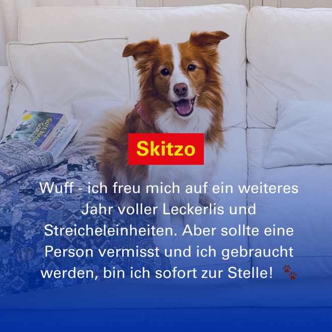 Verlinkung zur Seite von Skitzo - Hund